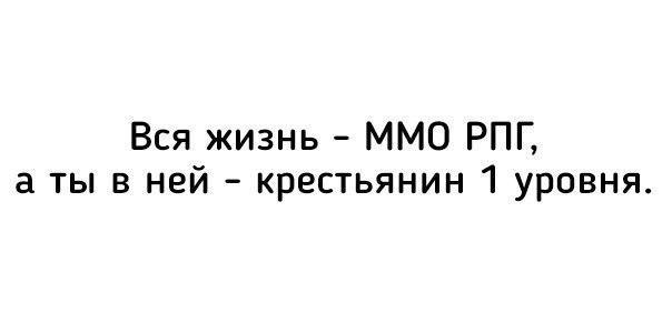 Вся жизнь ММО РПГ