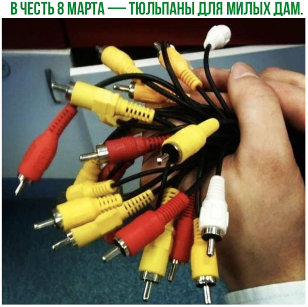 В честь 8 марта тюльпаны для милых дам
