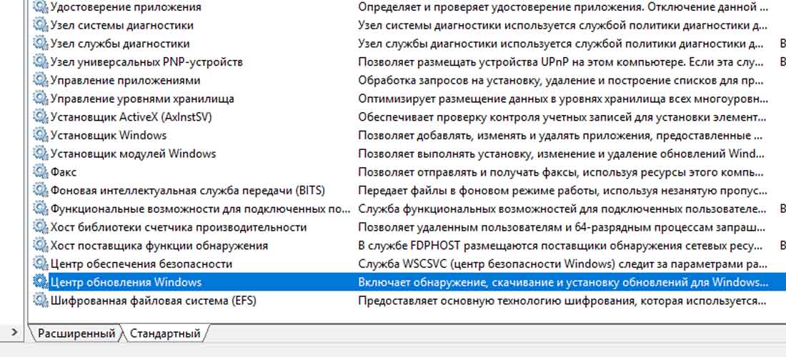 Asus / Gigabyte Asus / Gigabyte