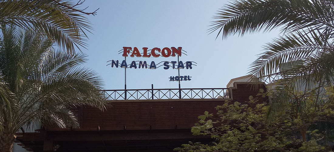 Falcon Naama Star Falcon Naama Star