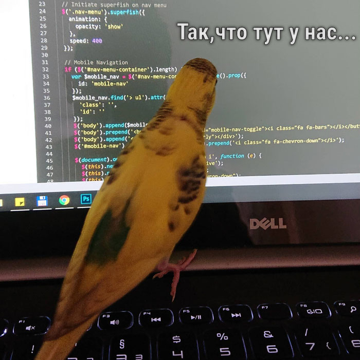 Так, что тут у нас...