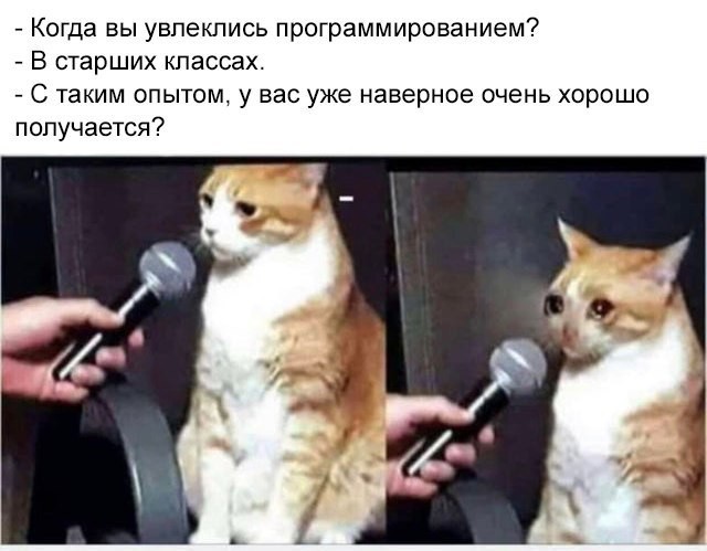 Когда вы увлеклись программированием?