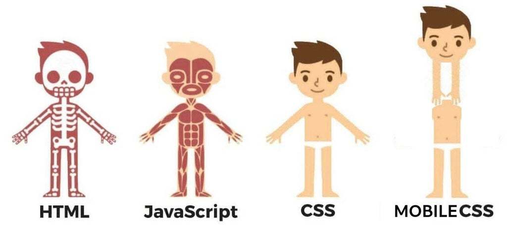 HTML JavaScript CSS MobailCSS HTML JavaScript CSS MobailCSS