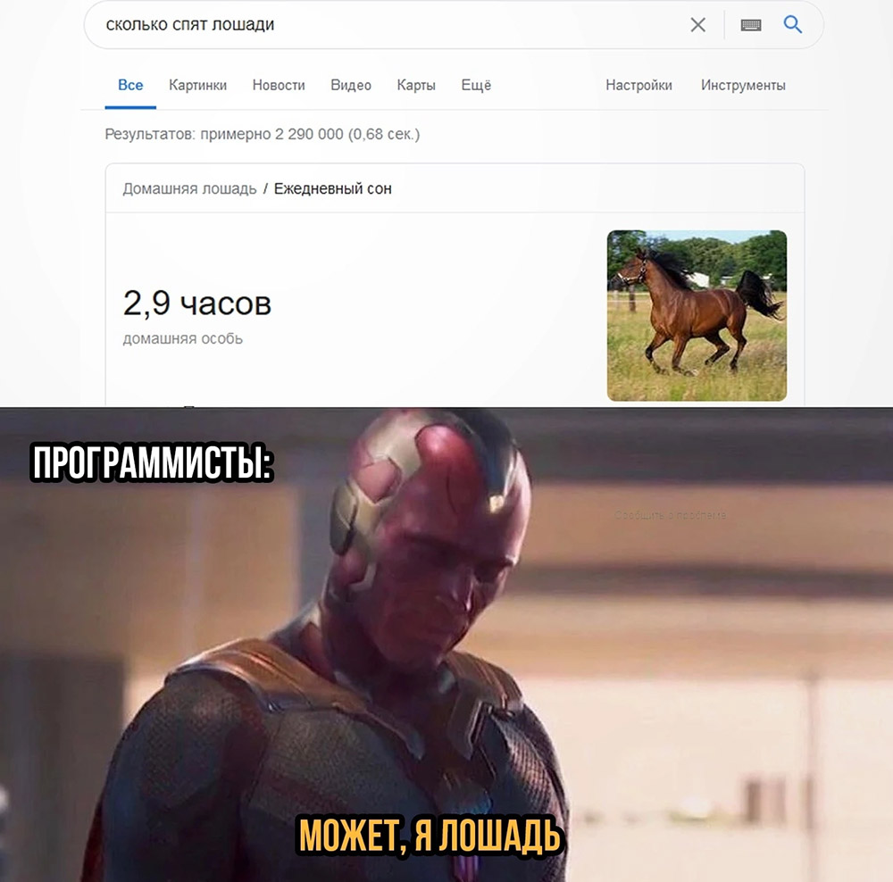 Сколько спят лошади