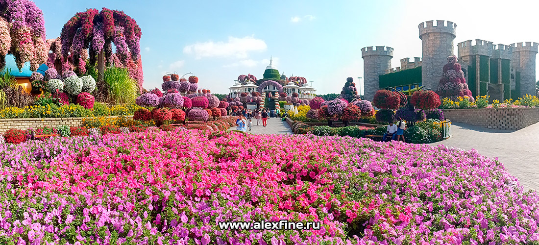 Автовокзал рядом с Mall of the Emirates Автовокзал рядом с Mall of the Emirates